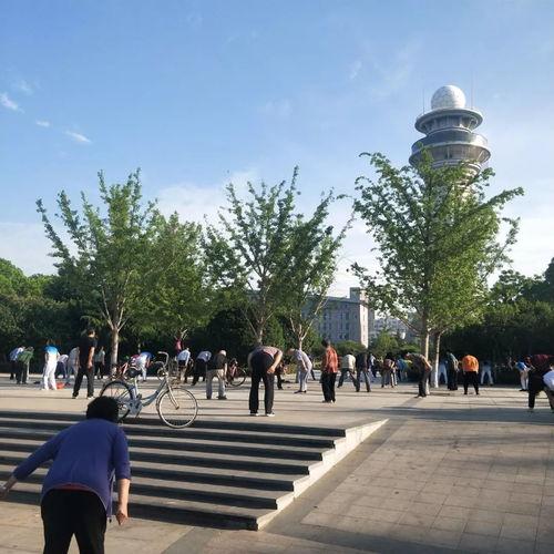 天津公园爆料视频最新,揭秘公园里的惊人秘密与奇闻轶事