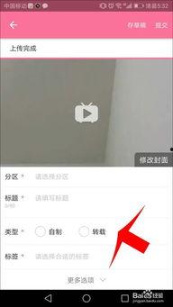 爆料如何投稿获奖视频,跟随爆料打造爆款内容 第3张 爆料如何投稿获奖视频,跟随爆料打造爆款内容 第3张